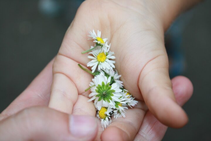 Hausapotheke für Kinder